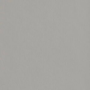 ЛДСП Эггер Серебристый матовый 18 мм F765 ST20