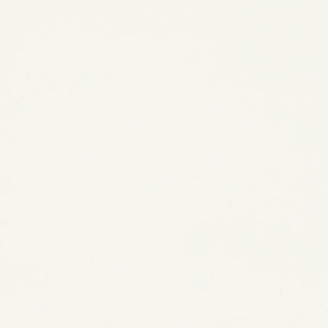 ЛДСП Эггер Белый классический 16 мм W960 ST7