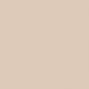 ЛДСП Эггер Бежевый песок 2800х2070х10 мм U156 ST9